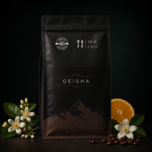 Geisha